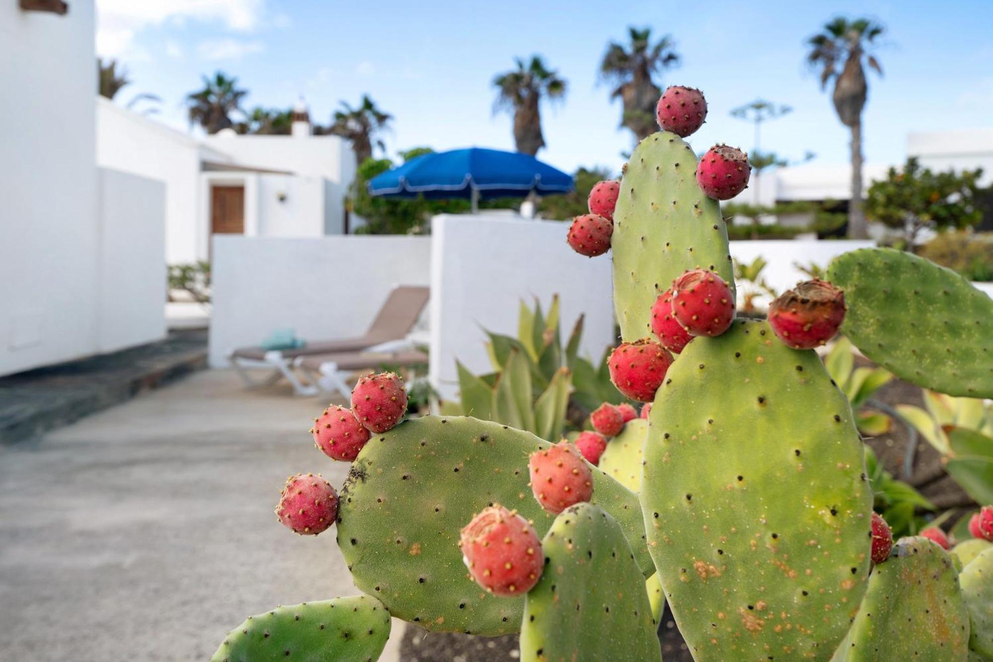 Casa Aloe Villa Haría Exteriör bild